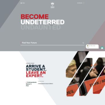 web designer malaysia,website designer malaysia,zahid aramai