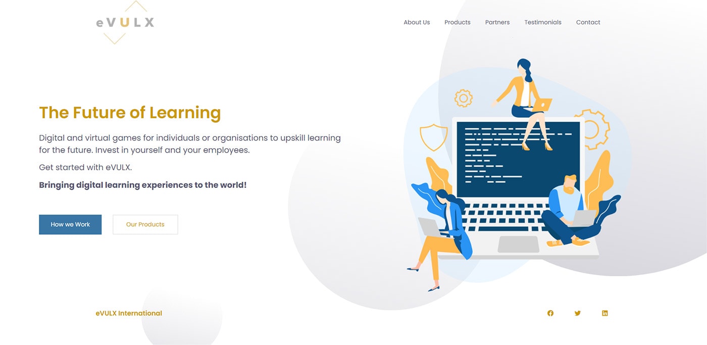 Evulx International Designed by ZahidAramai