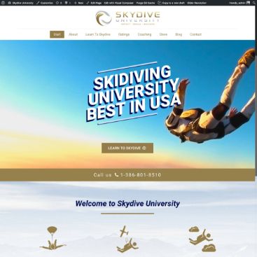 web designer malaysia,website designer malaysia,zahid aramai